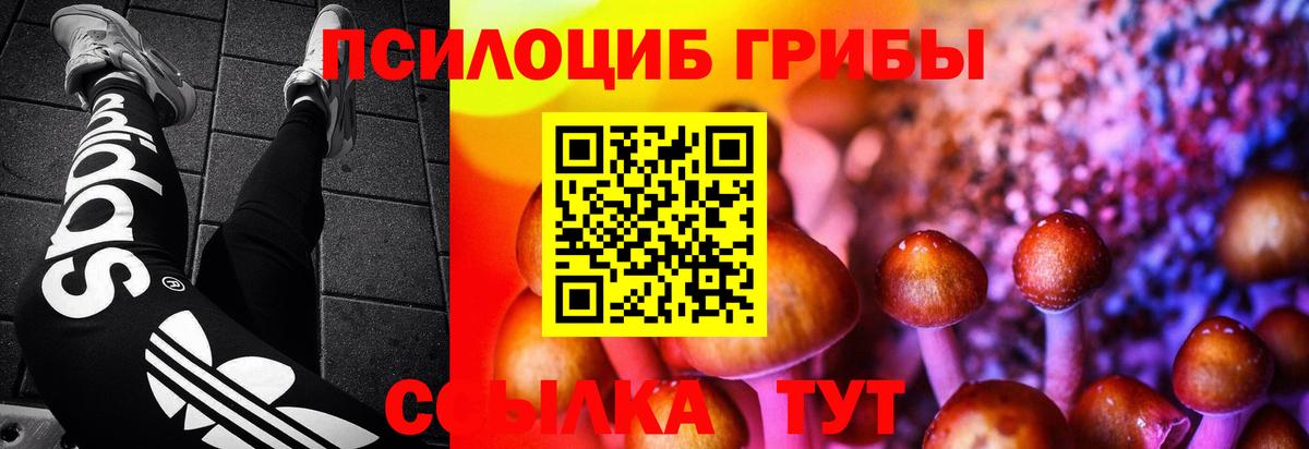 Галлюциногенные грибы GOLDEN TEACHER  Вход с VPN  Магадан 